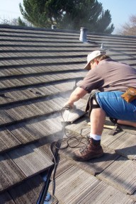 Shingle Repairs